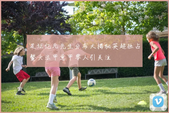 足坛亿元先生分布大揭秘英超独占鳌头法甲意甲零人引关注